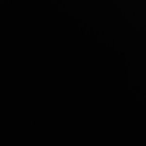 Meet your Posher, Roy